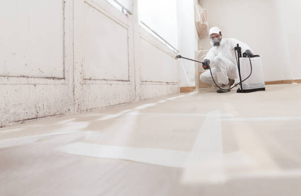 24/7 Emergency Mold Remediation experts in Burlington, WA